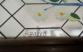 Casa Azalea - nuevo alojamiento en Setenil de las Bodegas